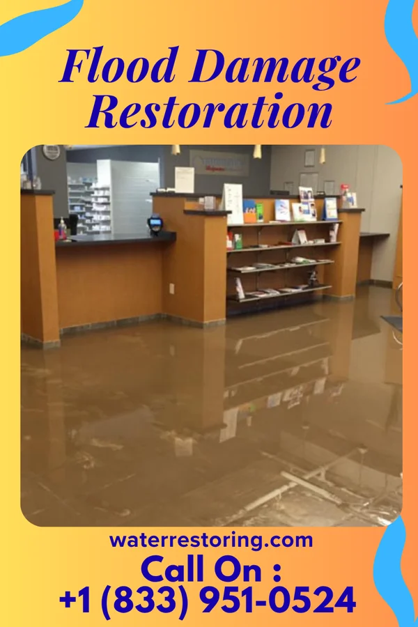 Flood Damage Restoration in Kukuihaele, HI